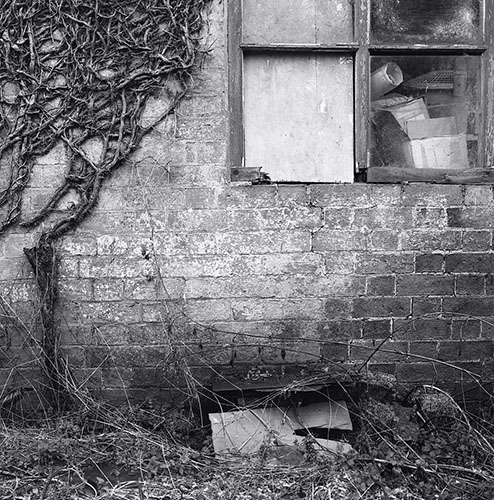 Clive White